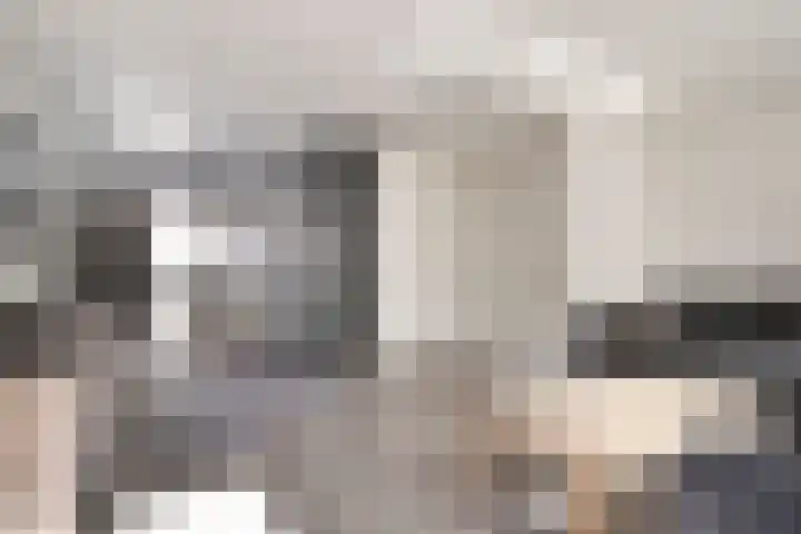 Dotterbloem 7 Purmerend thumbnail 10