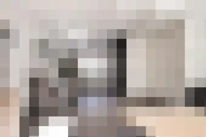 Dotterbloem 7 Purmerend thumbnail 11