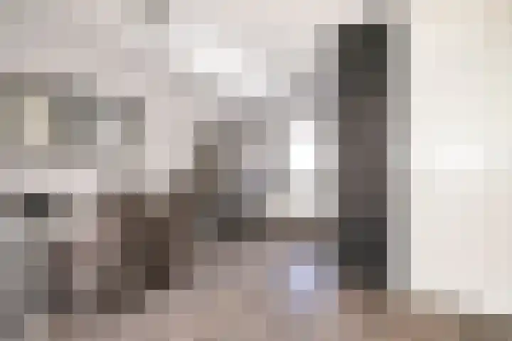 Dotterbloem 7 Purmerend thumbnail 12