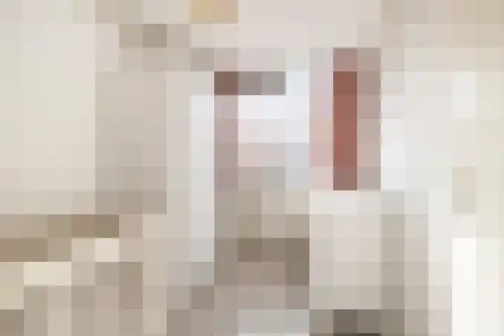 Dotterbloem 7 Purmerend thumbnail 16