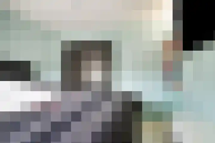 Dotterbloem 7 Purmerend thumbnail 19