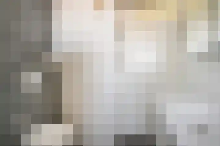 Dotterbloem 7 Purmerend thumbnail 23
