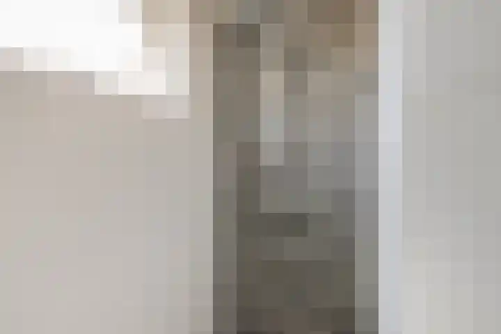Dotterbloem 7 Purmerend thumbnail 24