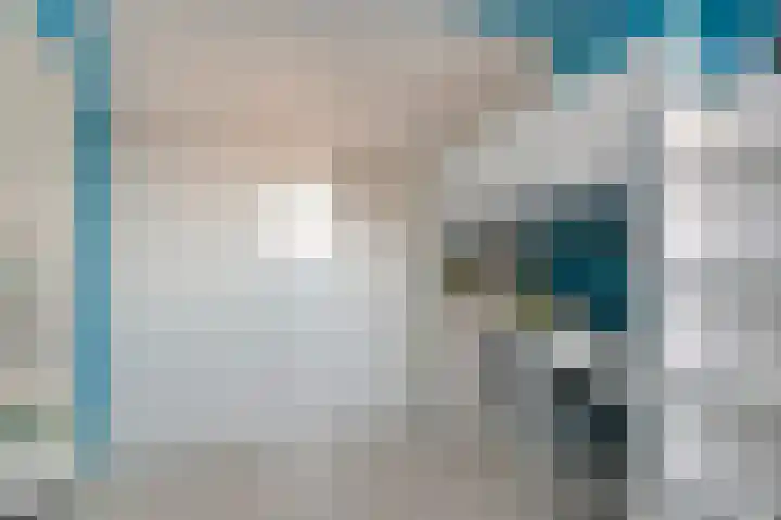 Dotterbloem 7 Purmerend thumbnail 28