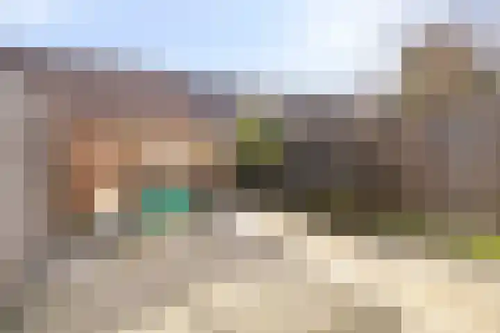 Dotterbloem 7 Purmerend thumbnail 30