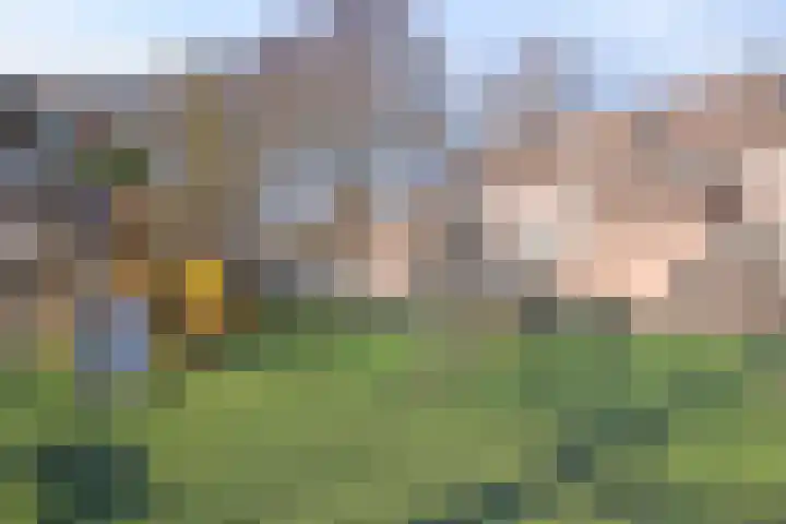 Dotterbloem 7 Purmerend thumbnail 33