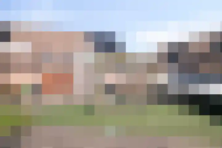 Dotterbloem 7 Purmerend thumbnail 34
