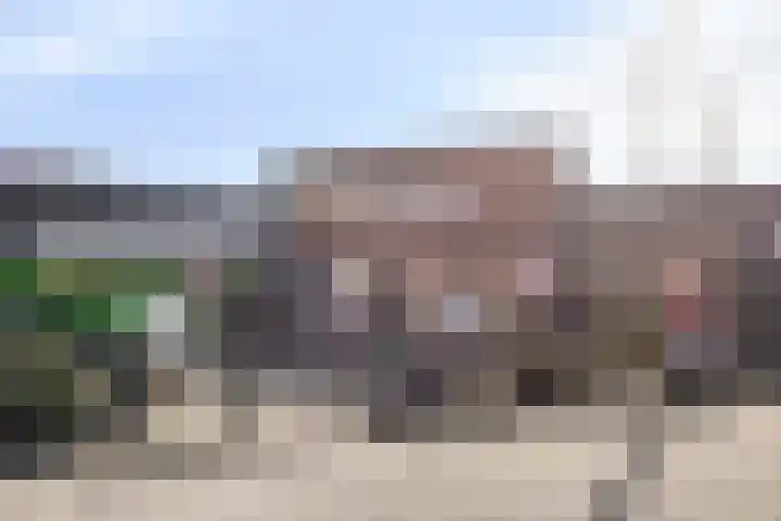 Dotterbloem 7 Purmerend thumbnail 35