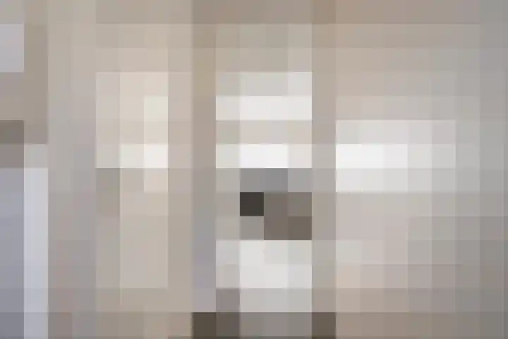 Dotterbloem 7 Purmerend thumbnail 6