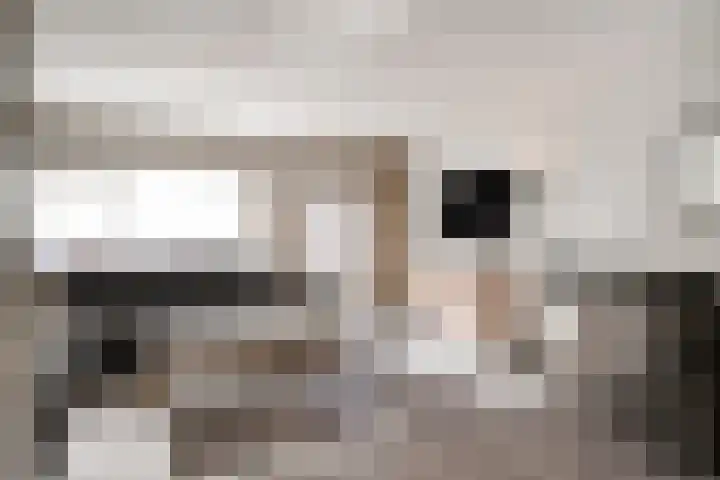 Dotterbloem 7 Purmerend thumbnail 8