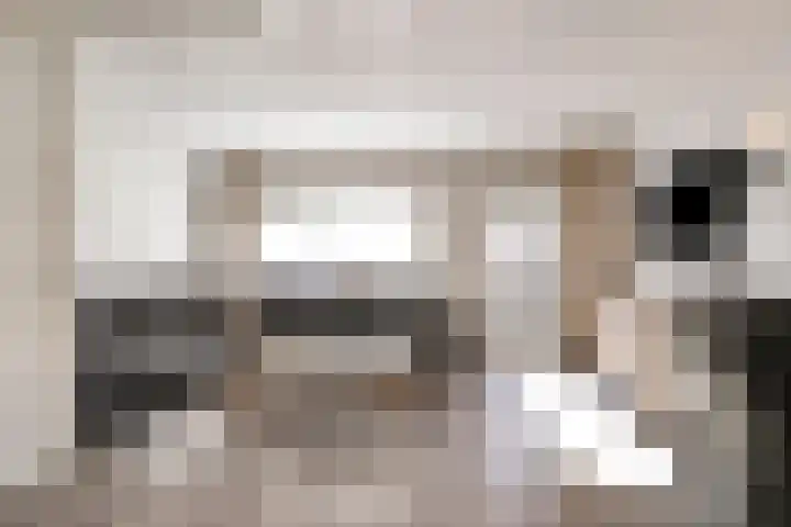 Dotterbloem 7 Purmerend thumbnail 9