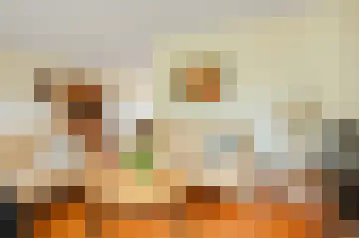 Dotterbloem 7 Scheemda thumbnail 11