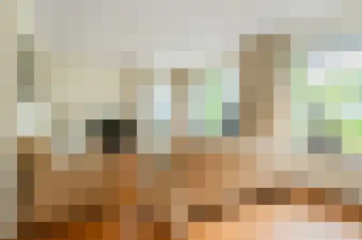 Dotterbloem 7 Scheemda foto 2