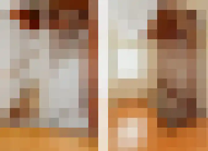 Dotterbloem 7 Scheemda thumbnail 20