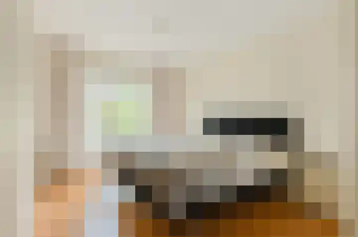 Dotterbloem 7 Scheemda thumbnail 23