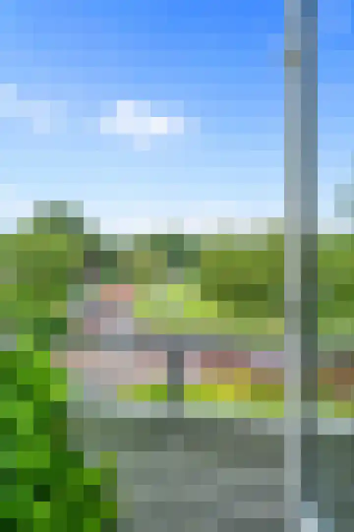 Dotterbloem 7 Scheemda thumbnail 24