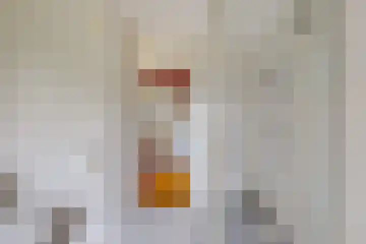 Dotterbloem 7 Scheemda thumbnail 29