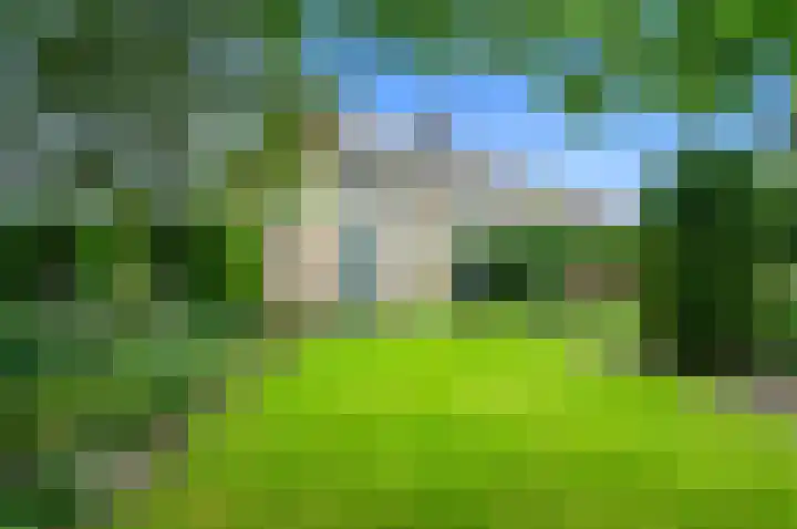 Dotterbloem 7 Scheemda foto 3