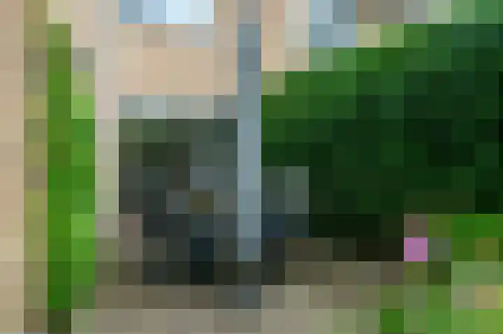 Dotterbloem 7 Scheemda thumbnail 32