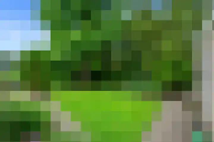 Dotterbloem 7 Scheemda thumbnail 33