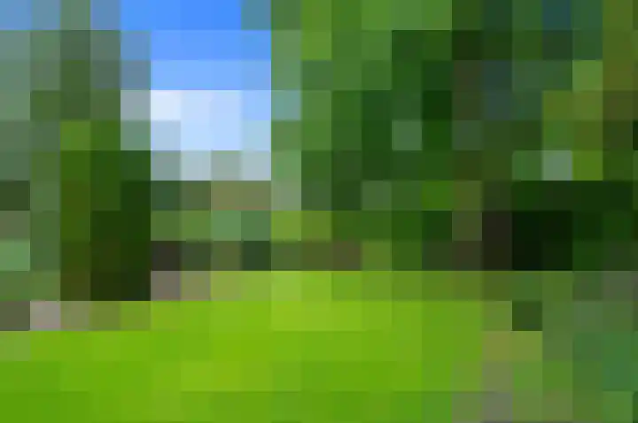 Dotterbloem 7 Scheemda thumbnail 34