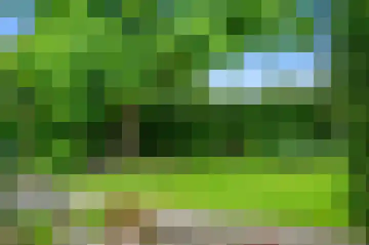 Dotterbloem 7 Scheemda thumbnail 35