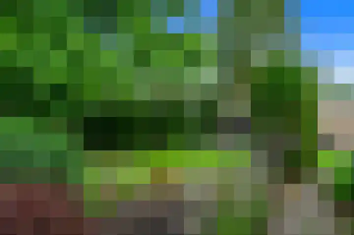 Dotterbloem 7 Scheemda thumbnail 37