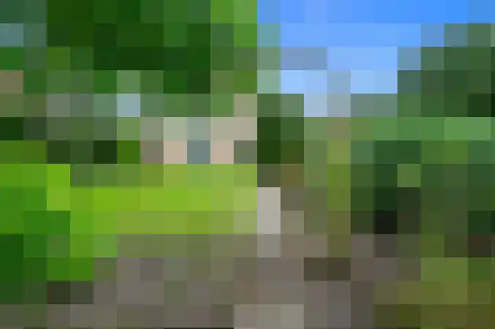 Dotterbloem 7 Scheemda thumbnail 38