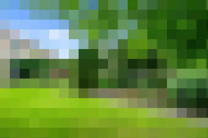 Dotterbloem 7 Scheemda thumbnail 39
