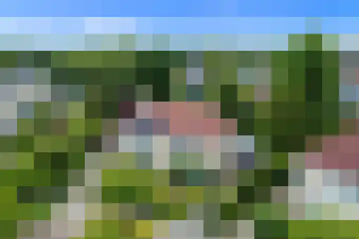 Dotterbloem 7 Scheemda thumbnail 4