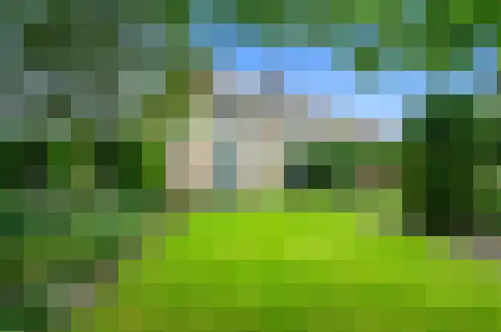 Dotterbloem 7 Scheemda thumbnail 40