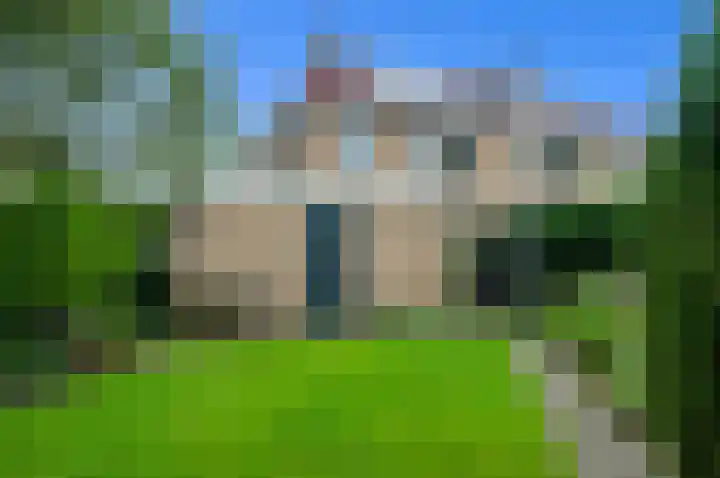Dotterbloem 7 Scheemda thumbnail 41