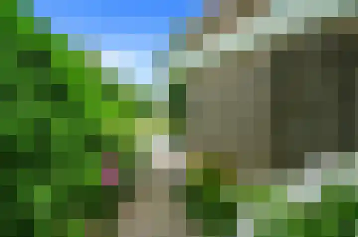 Dotterbloem 7 Scheemda thumbnail 42