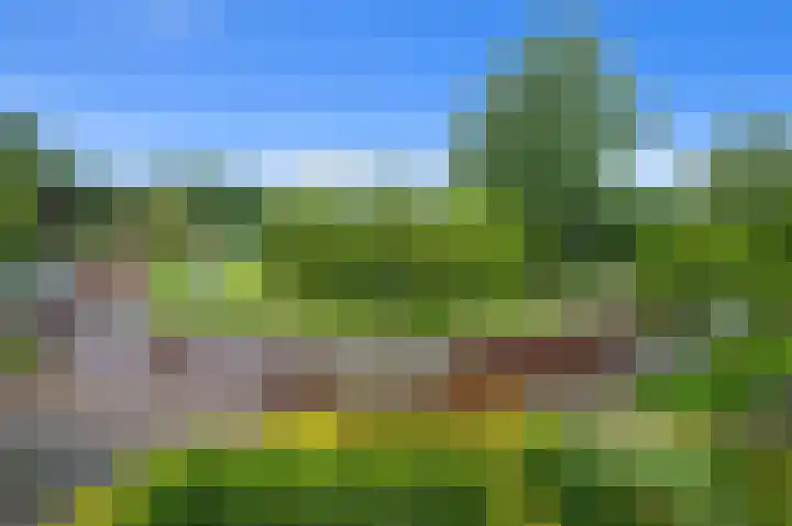 Dotterbloem 7 Scheemda thumbnail 43