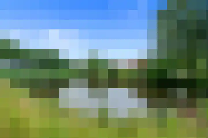 Dotterbloem 7 Scheemda thumbnail 44