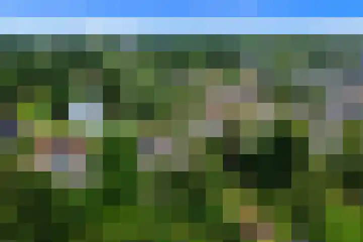 Dotterbloem 7 Scheemda thumbnail 46