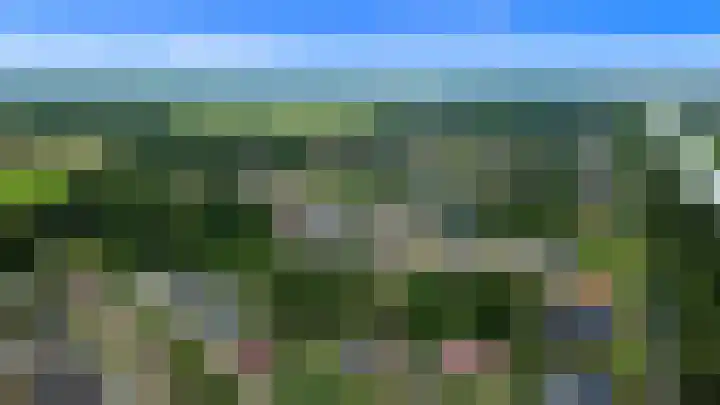 Dotterbloem 7 Scheemda thumbnail 47
