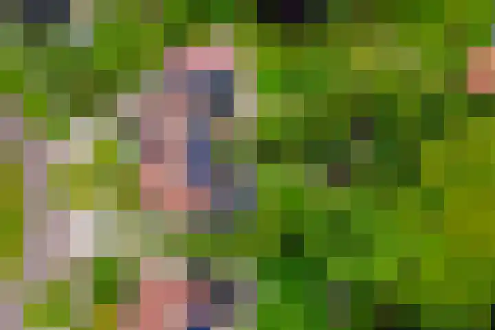 Dotterbloem 7 Scheemda thumbnail 48