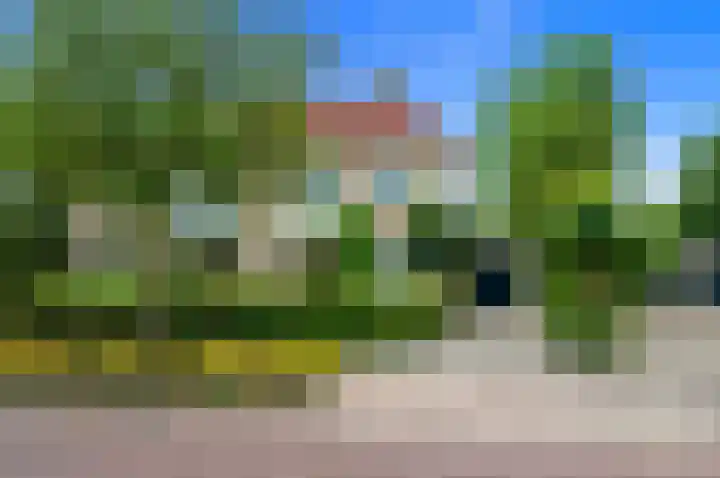 Dotterbloem 7 Scheemda thumbnail 5