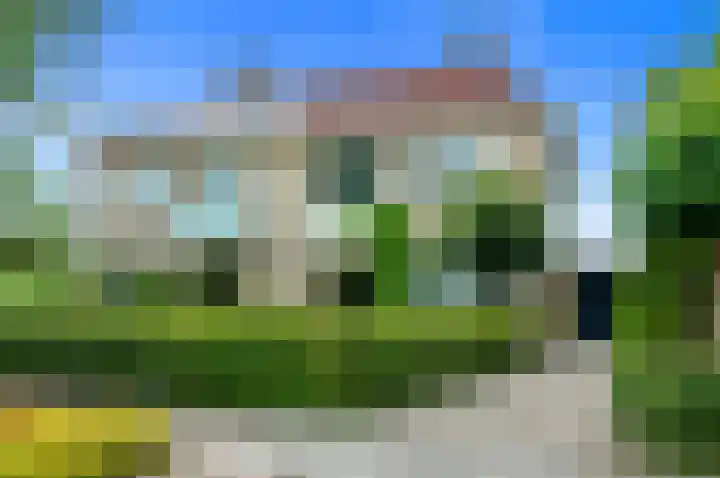 Dotterbloem 7 Scheemda thumbnail 52