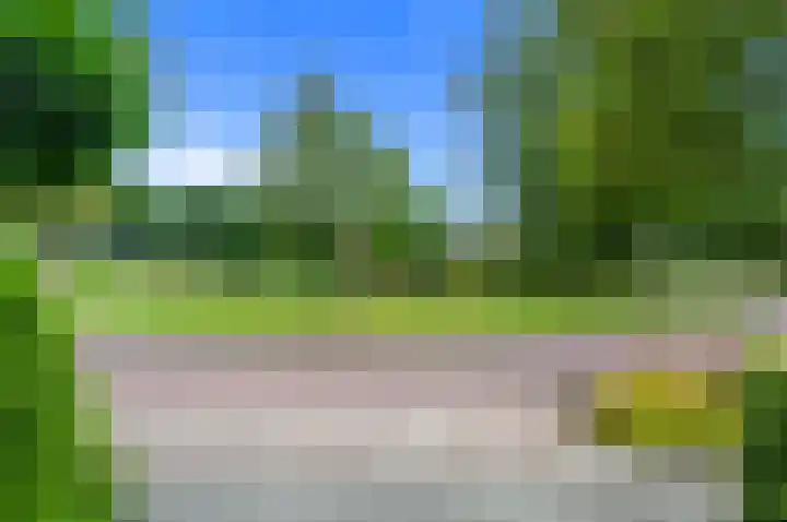 Dotterbloem 7 Scheemda thumbnail 6