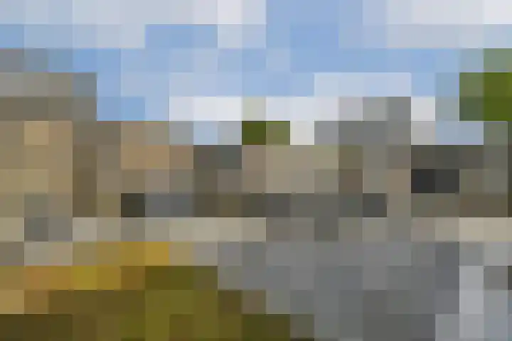 Dotterbloemhof 27 Lelystad thumbnail 12