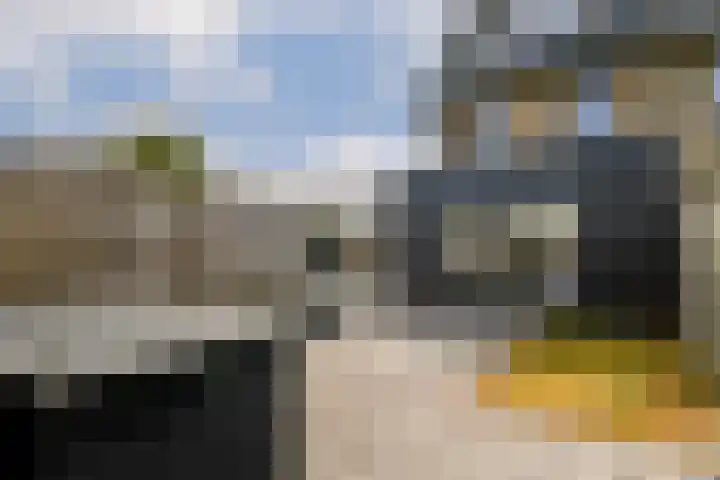 Dotterbloemhof 27 Lelystad thumbnail 15