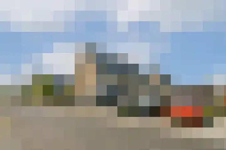 Dotterbloemhof 27 Lelystad thumbnail 27