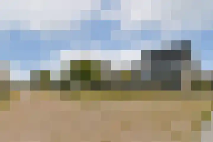 Dotterbloemhof 27 Lelystad thumbnail 28
