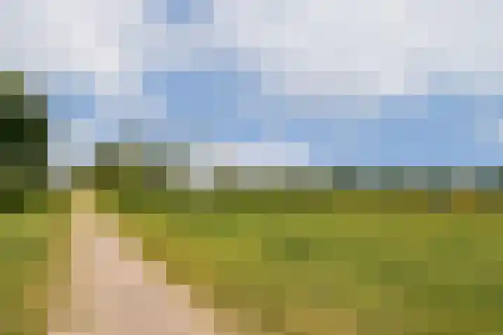 Dotterbloemhof 27 Lelystad thumbnail 29