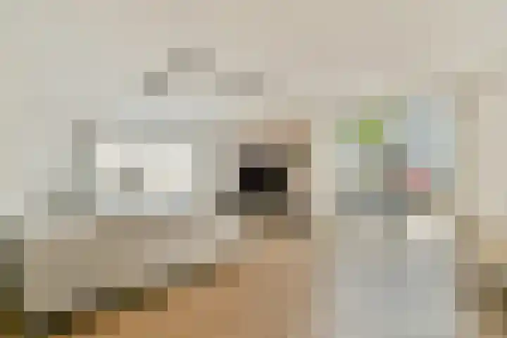 Dotterbloemhof 27 Lelystad thumbnail 5