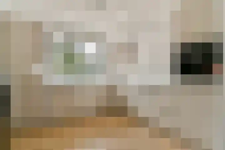 Dotterbloemhof 27 Lelystad thumbnail 8