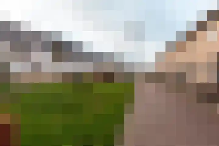 Dotterbloemhof 41 Lelystad thumbnail 33
