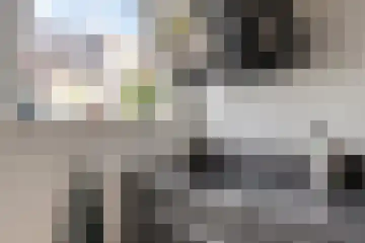 Dotterbloemhof 84 Lelystad thumbnail 7